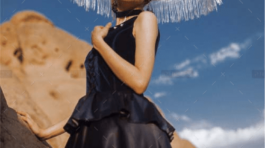 demo-attachment-564-image1